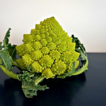 見た目インパクト大！イタリアの野菜ロマネスコ