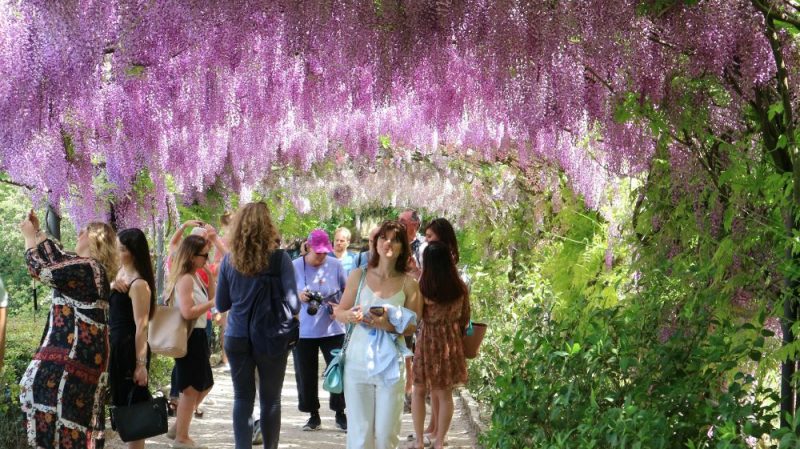 イタリア　フィレンツェ花祭り イタリア フィレンツェ花祭り （バロック×ハチミツ色×花の街